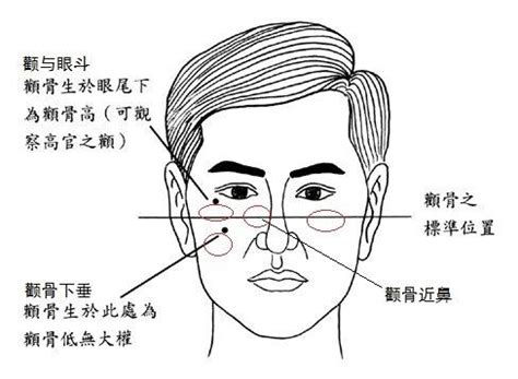 顴骨位置 面相